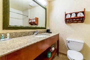 Room #18215012 at Quality Inn Texas City I-45