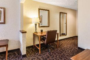 Room #18215013 at Quality Inn Texas City I-45