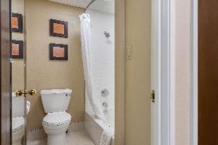 Room #24582611 at Comfort Inn Indianapolis South