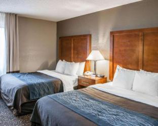 Room #24582611 at Comfort Inn Indianapolis South