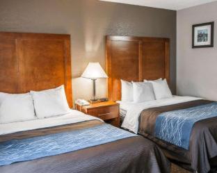 Room #24582613 at Comfort Inn Indianapolis South