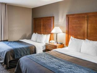 Room #24582611 at Comfort Inn Indianapolis South