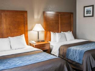 Room #24582611 at Comfort Inn Indianapolis South