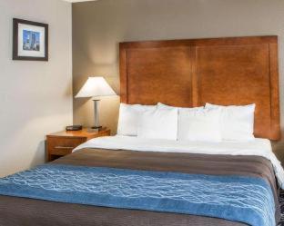 Room #24582612 at Comfort Inn Indianapolis South