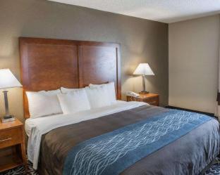 Room #24582612 at Comfort Inn Indianapolis South