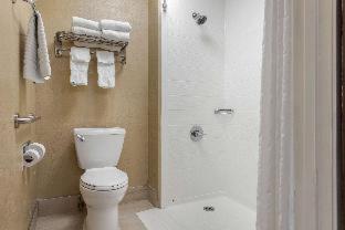 Room #24582613 at Comfort Inn Indianapolis South