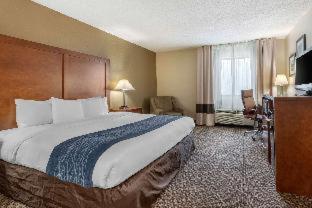 Room #24582615 at Comfort Inn Indianapolis South