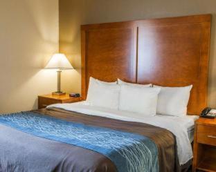 Room #24582615 at Comfort Inn Indianapolis South