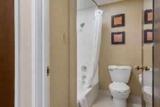 Room #24582615 at Comfort Inn Indianapolis South