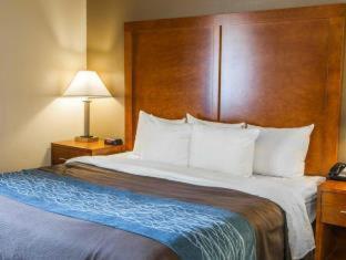 Room #24582615 at Comfort Inn Indianapolis South