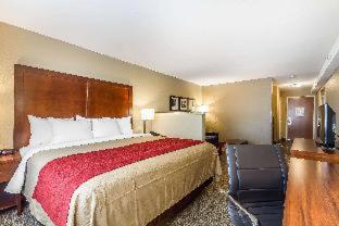 Room #29273237 at Comfort Inn & Suites Rocklin - Roseville