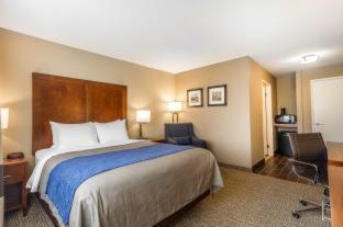 Room #29273237 at Comfort Inn & Suites Rocklin - Roseville