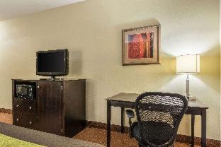 Room #49020709 at Comfort Inn & Suites Scott-West Lafayette