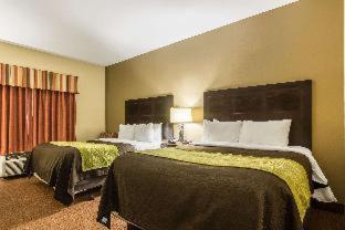 Room #49020709 at Comfort Inn & Suites Scott-West Lafayette