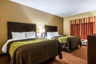 Room #49020710 at Comfort Inn & Suites Scott-West Lafayette