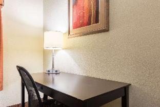 Room #49020710 at Comfort Inn & Suites Scott-West Lafayette