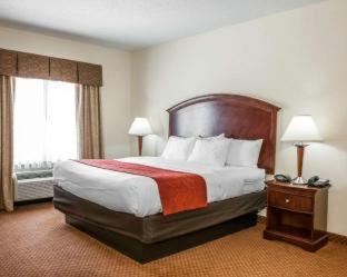 Room #24696310 at Comfort Suites near Indianapolis Airport