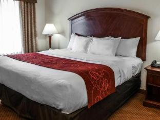 Room #24696310 at Comfort Suites near Indianapolis Airport