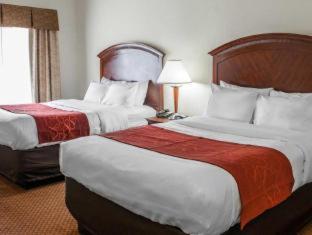 Room #24696311 at Comfort Suites near Indianapolis Airport