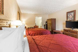 Room #49141509 at Quality Inn & Suites