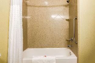Room #49020711 at Comfort Inn & Suites Scott-West Lafayette