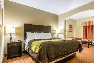 Room #49020711 at Comfort Inn & Suites Scott-West Lafayette