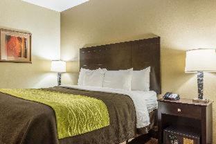 Room #49020711 at Comfort Inn & Suites Scott-West Lafayette