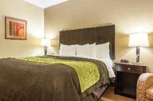 Room #49020711 at Comfort Inn & Suites Scott-West Lafayette