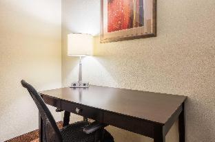 Room #49020711 at Comfort Inn & Suites Scott-West Lafayette