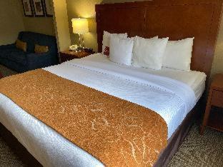 Room #5884615 at Comfort Suites Near Casinos Norwich-Uncasville CT