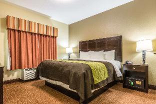Room #49020712 at Comfort Inn & Suites Scott-West Lafayette