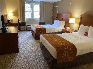 Room #5884616 at Comfort Suites Near Casinos Norwich-Uncasville CT