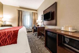 Room #49108109 at Comfort Inn & Suites Streetsboro - Kent
