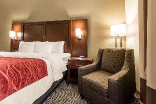 Room #49108109 at Comfort Inn & Suites Streetsboro - Kent