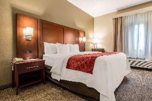 Room #49108109 at Comfort Inn & Suites Streetsboro - Kent