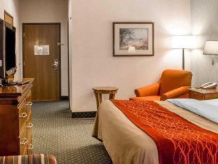Room #49108110 at Comfort Inn & Suites Streetsboro - Kent