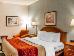 Room #49108110 at Comfort Inn & Suites Streetsboro - Kent