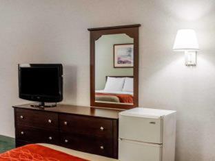 Room #49108110 at Comfort Inn & Suites Streetsboro - Kent