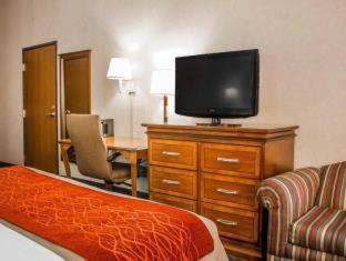 Room #49108110 at Comfort Inn & Suites Streetsboro - Kent