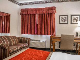 Room #49108110 at Comfort Inn & Suites Streetsboro - Kent
