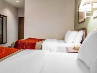 Room #49108111 at Comfort Inn & Suites Streetsboro - Kent