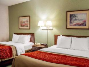 Room #49108111 at Comfort Inn & Suites Streetsboro - Kent