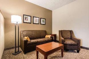 Room #49108112 at Comfort Inn & Suites Streetsboro - Kent