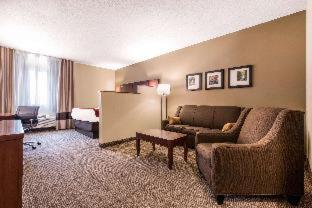 Room #49108112 at Comfort Inn & Suites Streetsboro - Kent