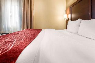 Room #49108112 at Comfort Inn & Suites Streetsboro - Kent