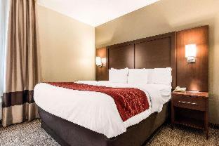 Room #49108112 at Comfort Inn & Suites Streetsboro - Kent