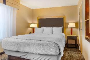 Room #29861709 at SpringHill Suites by Marriott Fort Collins