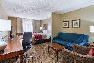Room #49235314 at Comfort Inn Barboursville near Huntington Mall area