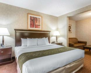 Room #25851812 at Comfort Suites Omaha East-Council Bluffs
