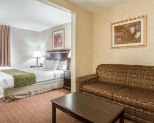 Room #25851812 at Comfort Suites Omaha East-Council Bluffs